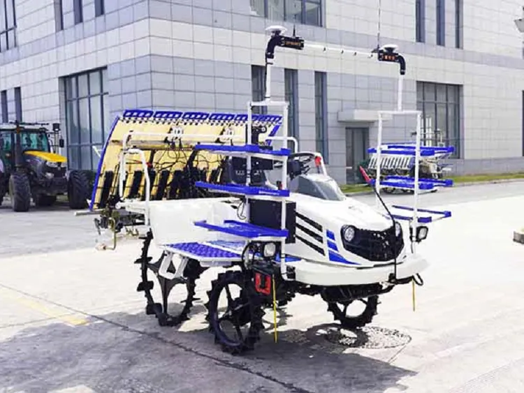 Μεταμόσχευση γεωργικού ρυζιού